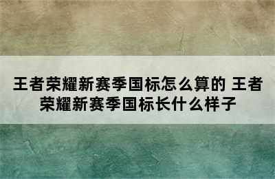 王者荣耀新赛季国标怎么算的 王者荣耀新赛季国标长什么样子